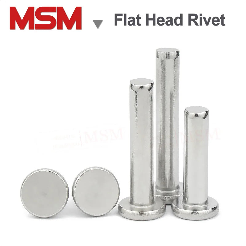 M5 Ss Rivet 100Pcs Stainless Steel Flat Thin Wafer Head Rivets M2 M2.5 M3 M4 M5 M6 ...