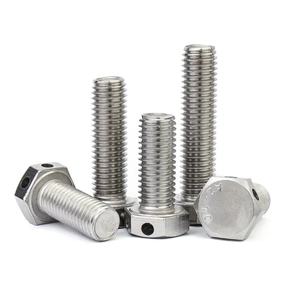Xpcs Outer Hexagonal Head with Hole Bolt 304 Stainless Steel GB32.1 Through Steel Wire Safety Screw M6 M8 M10 M12 M16